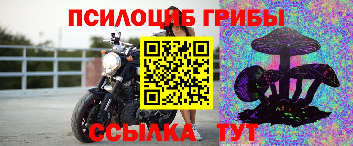 Подольск  Псилоцибиновые грибы мицелий  Вход с VPN  наркотики  Галлюциногенные грибы мицелий 
